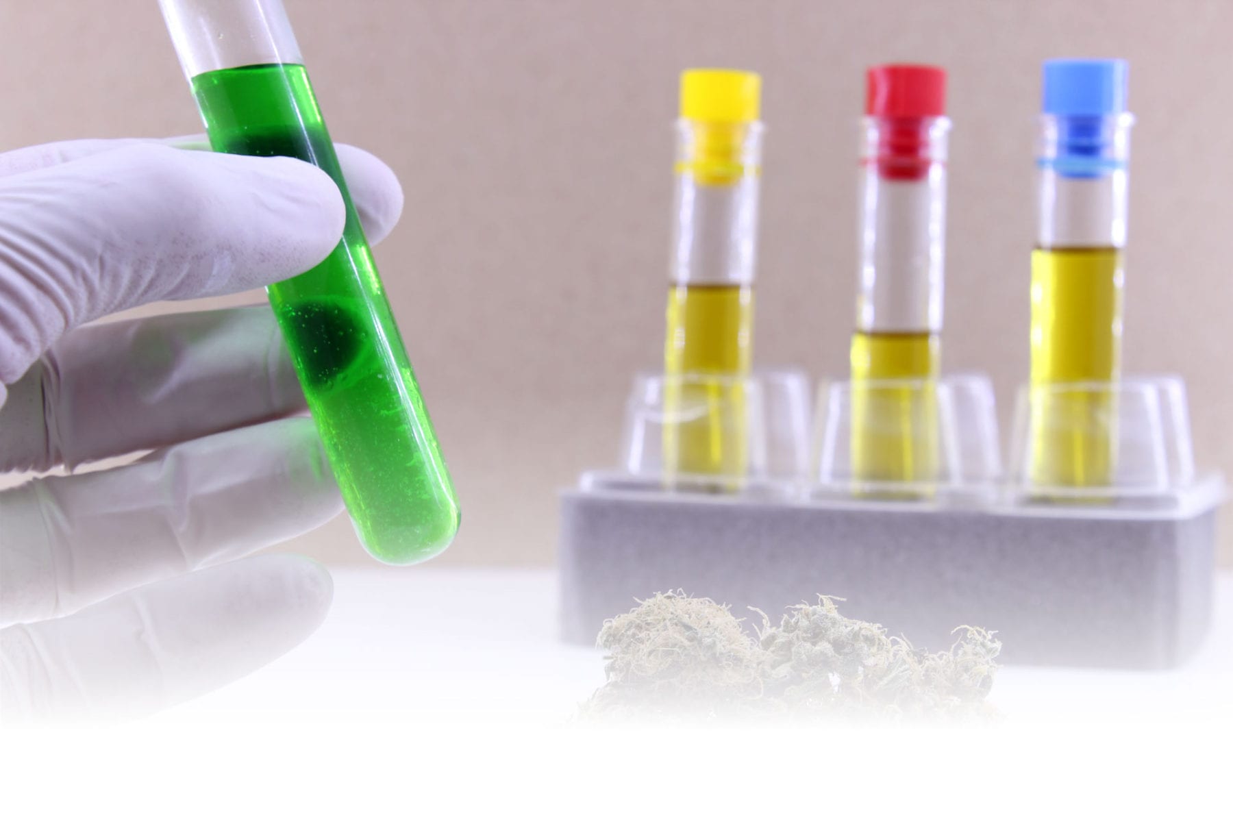 Cannabis And Hemp Laboratory Testing Services - Sigma Analytical Services